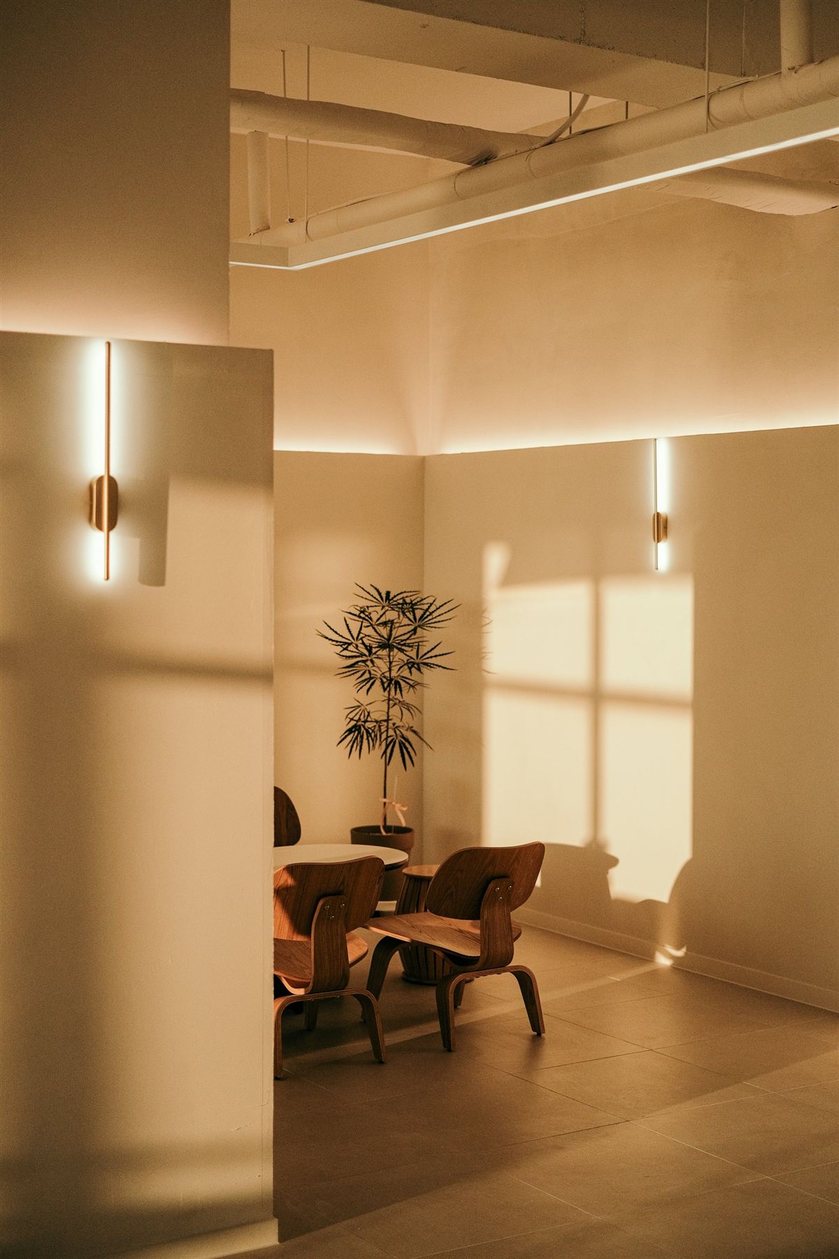 Sala cálida con sillones de madera, una planta y luz de ventana
